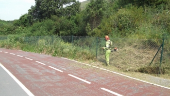 Conservación de carreteras - Jardines y Bosques