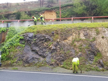 Conservación de carreteras - Jardines y Bosques