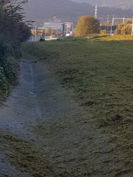 Conservación de zonas verdes - Jardines y Bosques